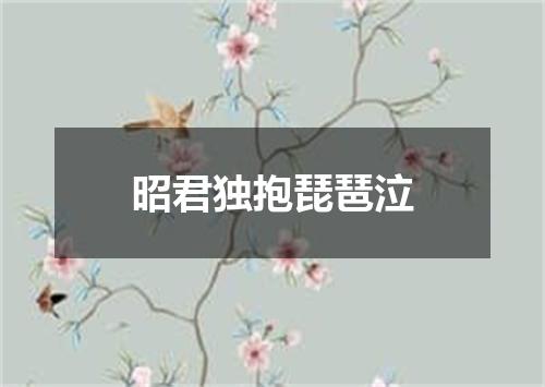 昭君独抱琵琶泣