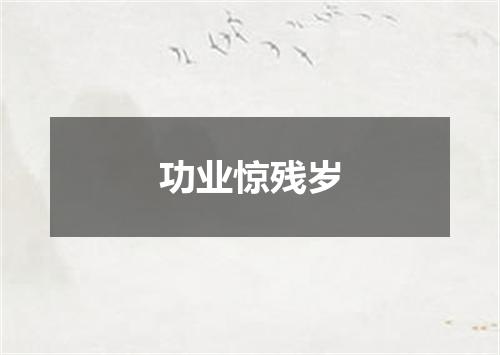 功业惊残岁