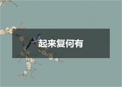 起来复何有