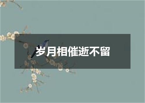 岁月相催逝不留