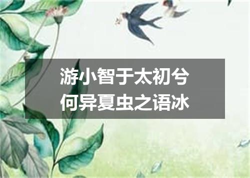 游小智于太初兮何异夏虫之语冰