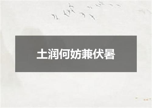 土润何妨兼伏暑