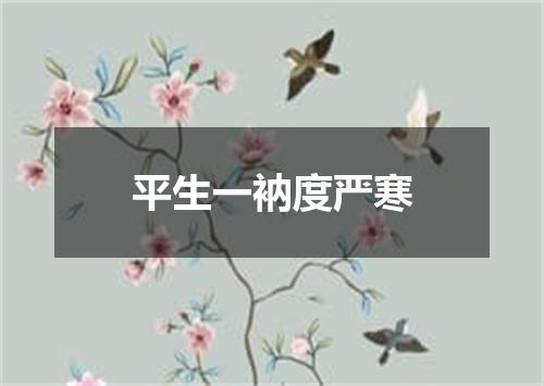 平生一衲度严寒