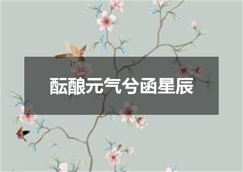 酝酿元气兮函星辰