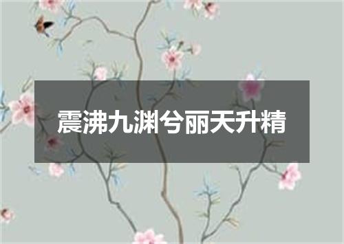 震沸九渊兮丽天升精