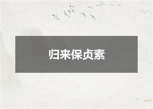 归来保贞素