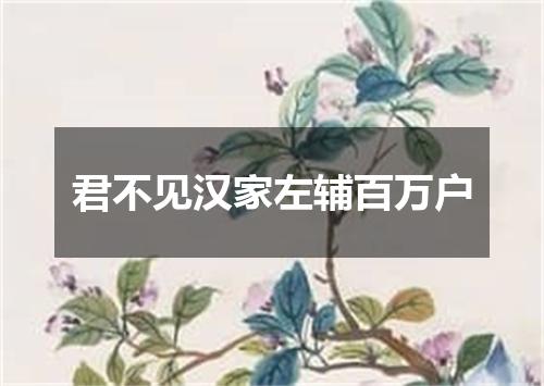 君不见汉家左辅百万户