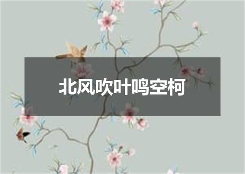 北风吹叶鸣空柯