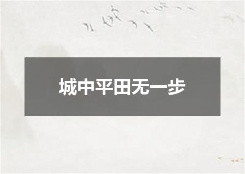 城中平田无一步