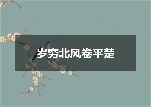 岁穷北风卷平楚