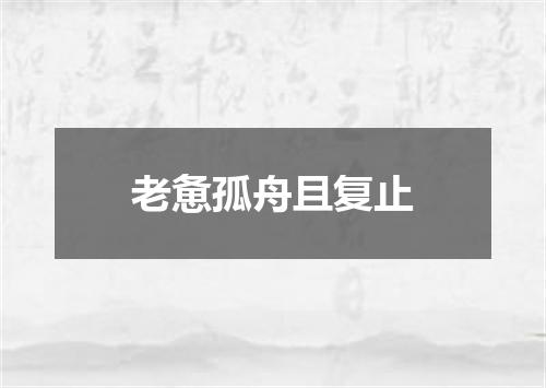 老惫孤舟且复止