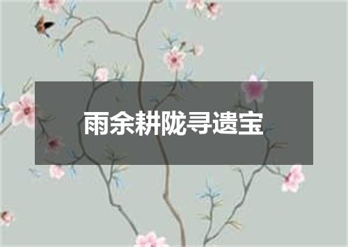 雨余耕陇寻遗宝