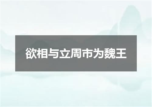 欲相与立周市为魏王