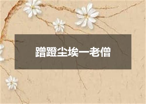 蹭蹬尘埃一老僧