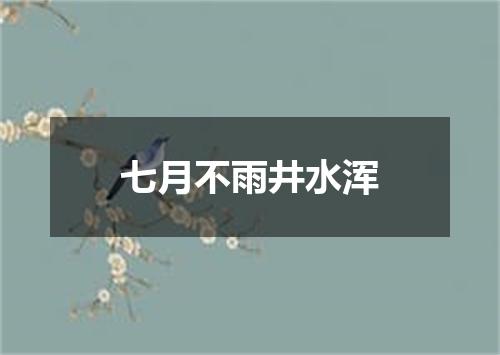 七月不雨井水浑