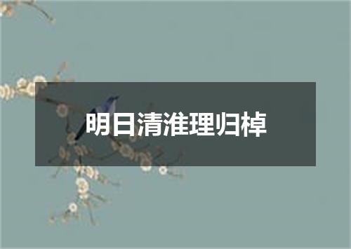 明日清淮理归棹