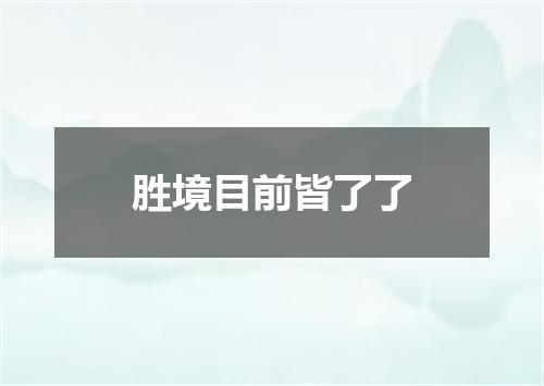 胜境目前皆了了