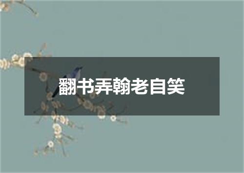 翻书弄翰老自笑
