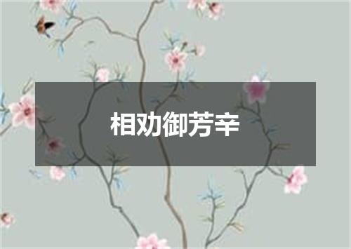 相劝御芳辛