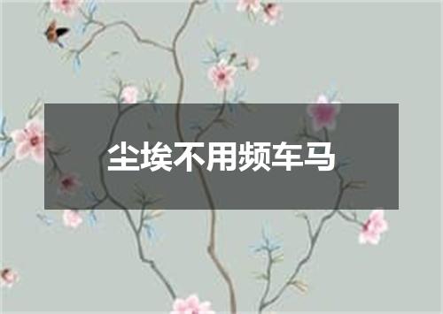 尘埃不用频车马