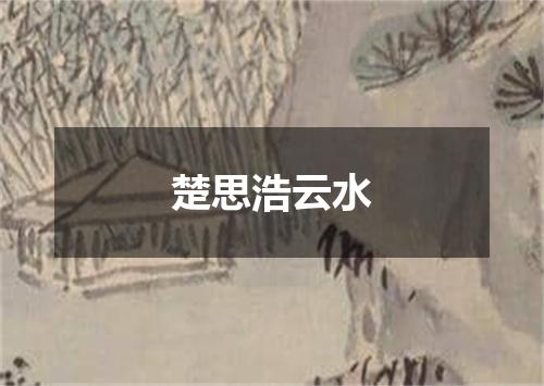 楚思浩云水