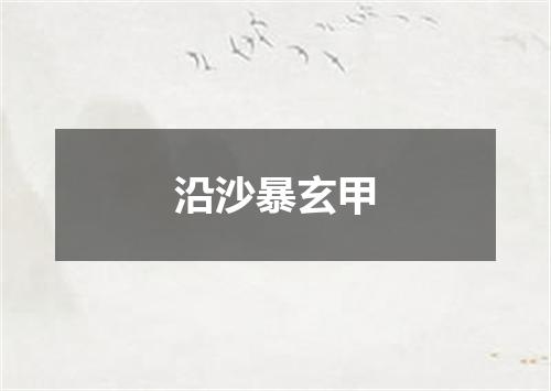 沿沙暴玄甲