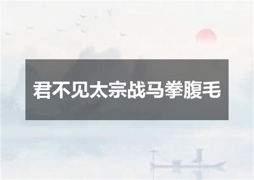 君不见太宗战马拳腹毛