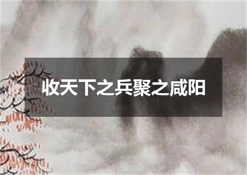 收天下之兵聚之咸阳