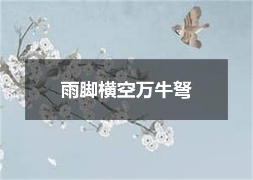 雨脚横空万牛弩