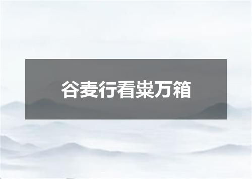 谷麦行看粜万箱