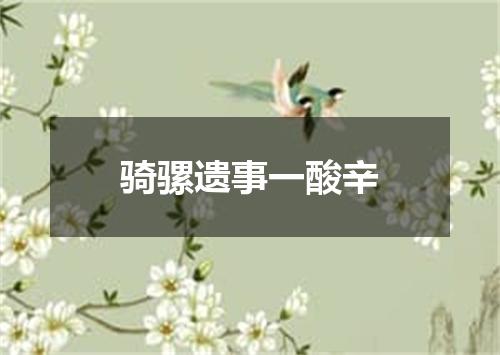 骑骡遗事一酸辛