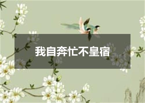 我自奔忙不皇宿