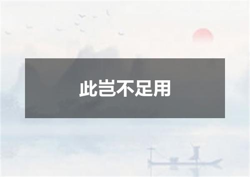 此岂不足用