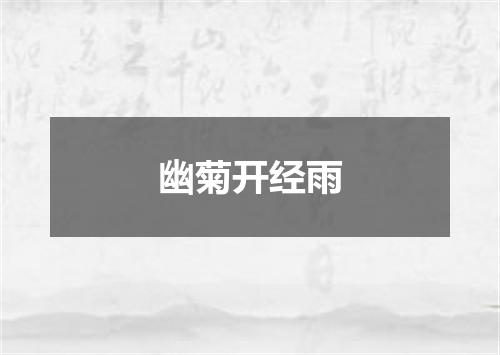 幽菊开经雨