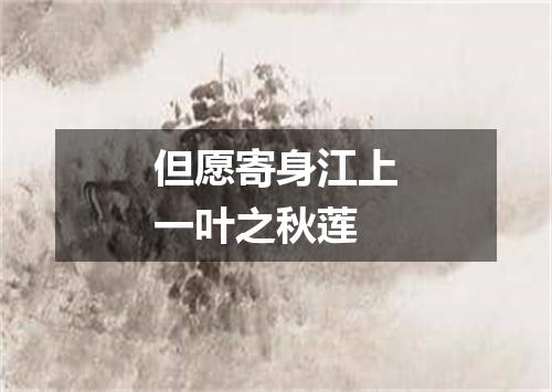 但愿寄身江上一叶之秋莲