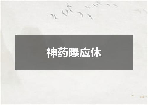 神药曝应休