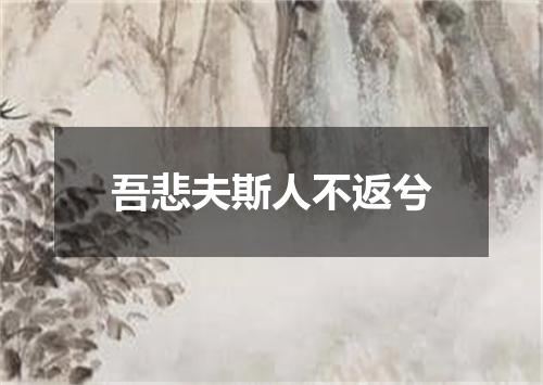 吾悲夫斯人不返兮