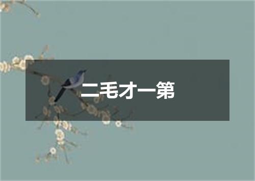 二毛才一第