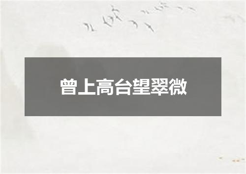 曾上高台望翠微