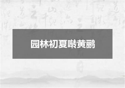 园林初夏啭黄鹂