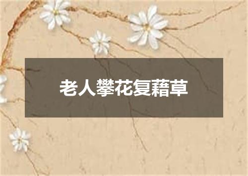 老人攀花复藉草