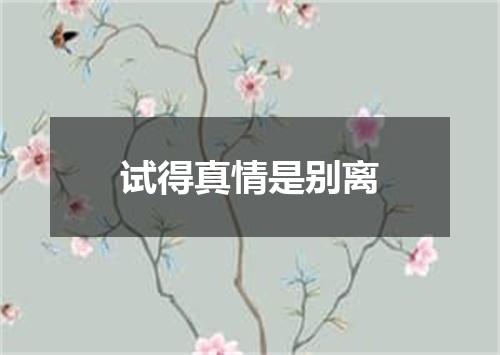 试得真情是别离