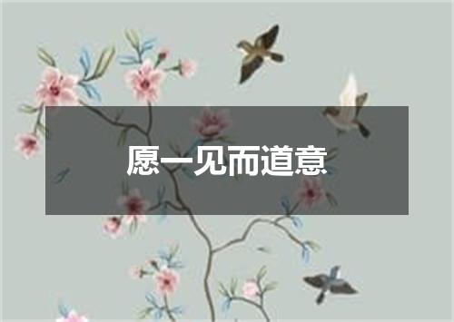 愿一见而道意