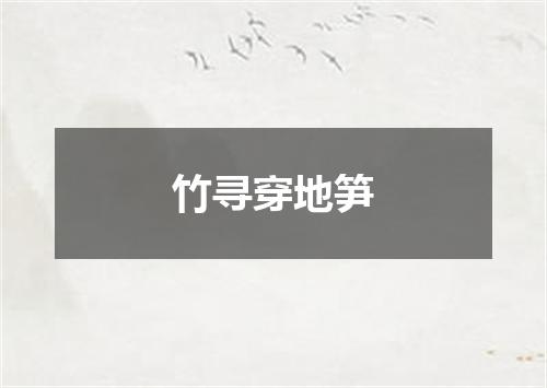 竹寻穿地笋