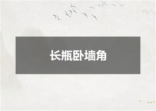 长瓶卧墙角