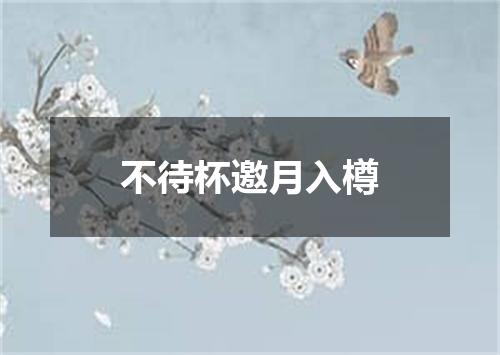 不待杯邀月入樽