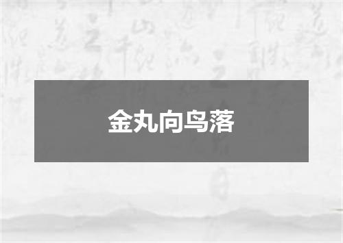 金丸向鸟落