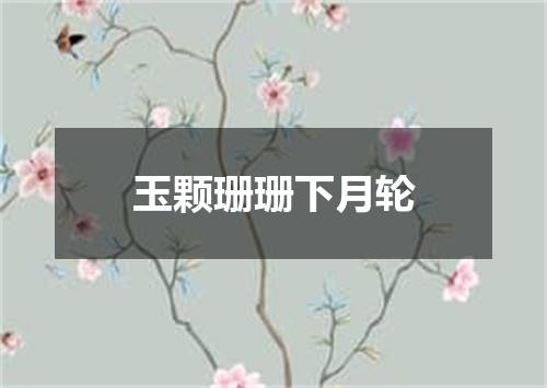 玉颗珊珊下月轮