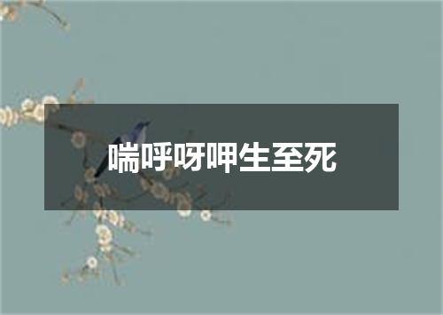 喘呼呀呷生至死