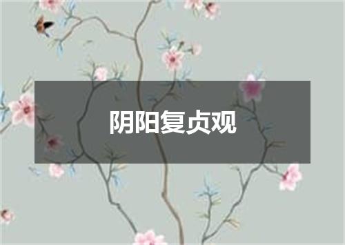 阴阳复贞观